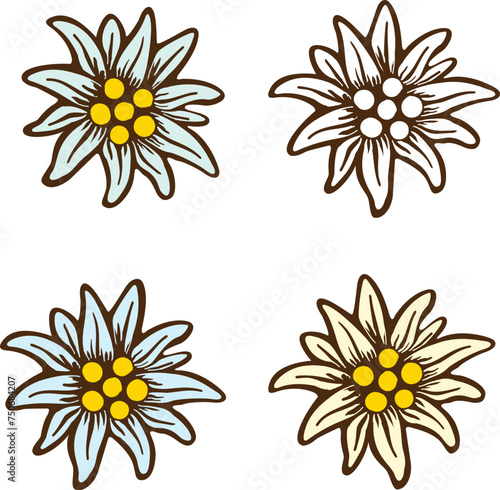 Edelweiss flower alps logo symbol