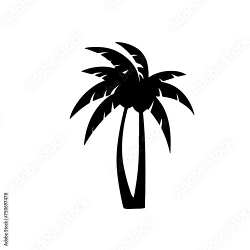 black silhouette a palm trees side view isoleted photo