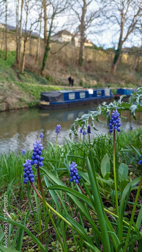 Bath canal with flowers, UK