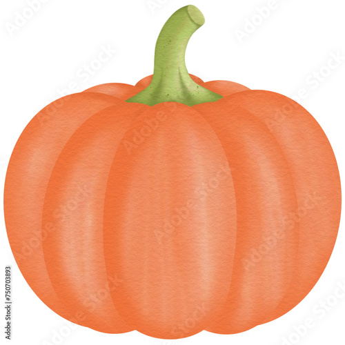 pumpkin isolated on white background