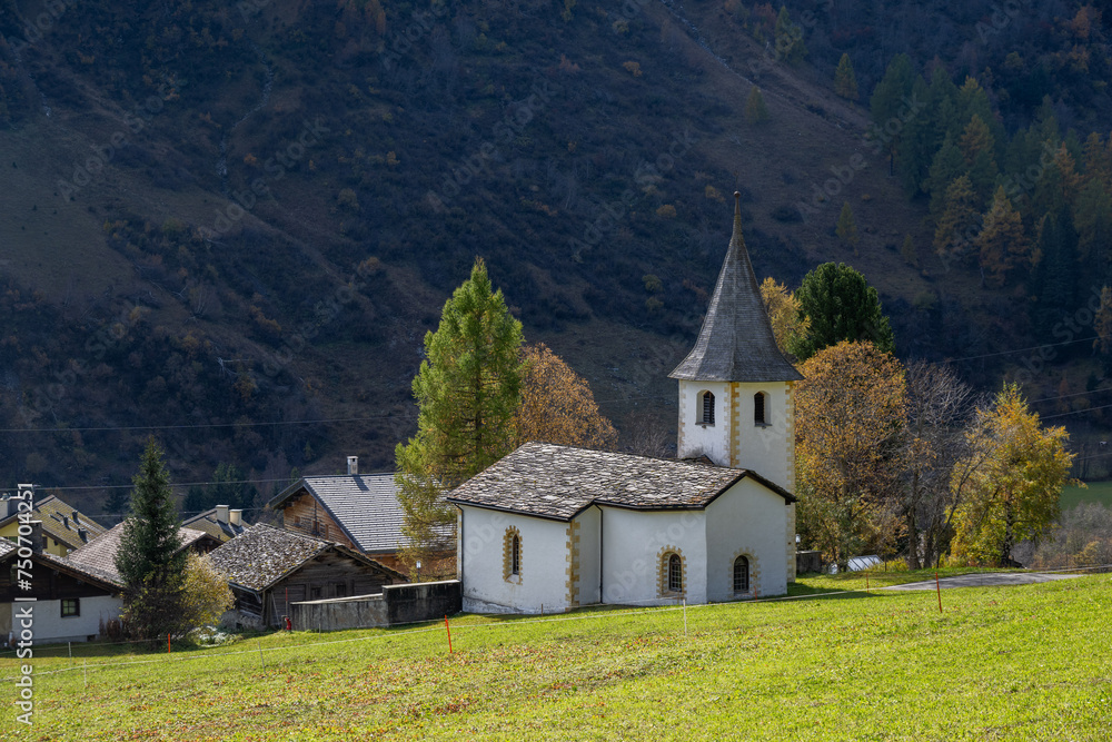 The Village of  Rheinwald in the Canton of Graubünden, Switzerland