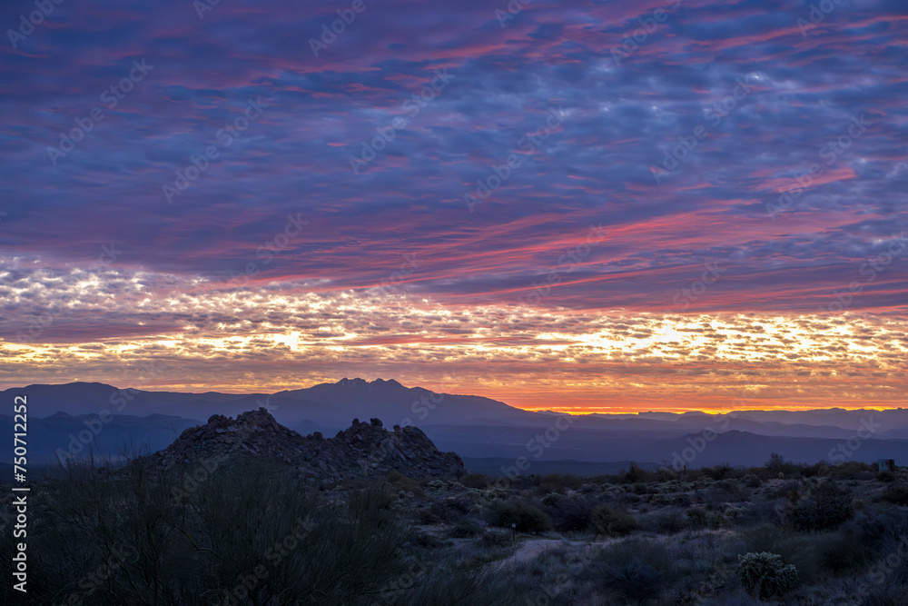 Panoramic Arizona Desert Sunrise Landscape Near Scottsdale