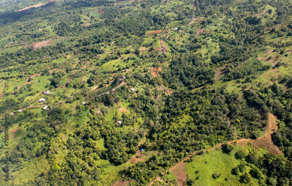 An aerial view of the thick vegetation in a rural area of Dominica