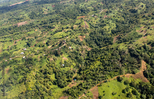 An aerial view of the thick vegetation in a rural area of Dominica