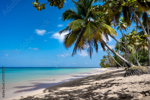 Fototapeta Naklejka Na Ścianę i Meble -  Dramatic long exposure seascape in Las Terrenas, Dominican Republic with aqua blue water and palm trees.
