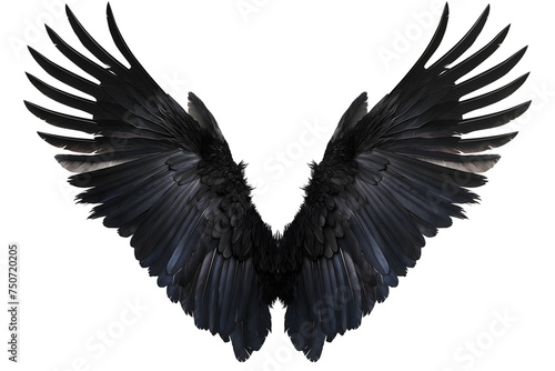 Majestic Black Wings Spread Wide in Powerful Display
