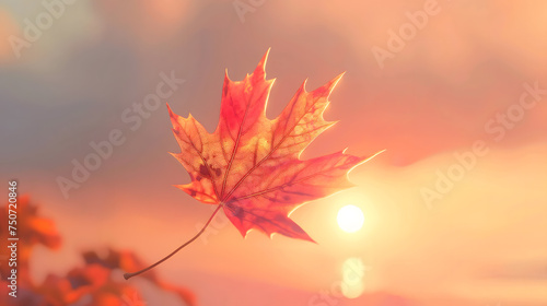 Autumn Maple Leaf Against Sunset photo