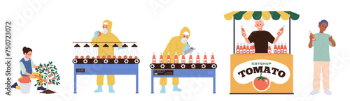 Tomato production line set with people workers harvesting, working at conveyor, selling ketchup