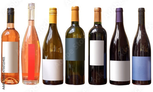 Obraz na płótnie Family of different kind of Wine bottles isolated on White w salonie