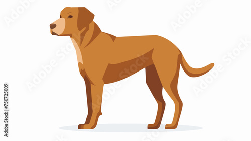 Pet dog flat vector isolated on white background