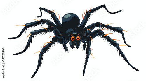 Poisonous spider vector. Happy halloween clip art.