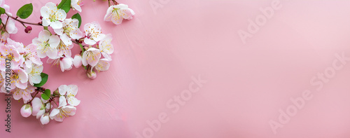 Flowers blossoms on light pink background. Banner, poster template, greeting card for wedding, mothers or women's day. Spring time flat lay with copy space