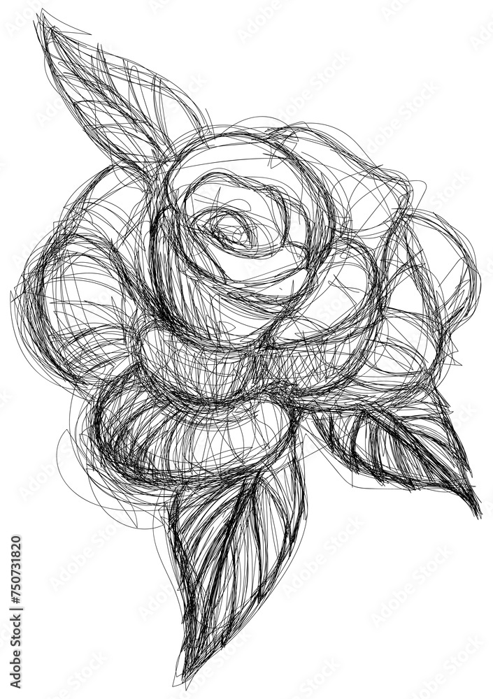 Rose hand drawn isolated on white. Abstract line flower. Rose hand drawn isolated on white. Abstract line flower.