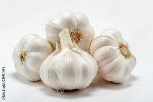 Organic fresh healthy garlic bulb isolated white background