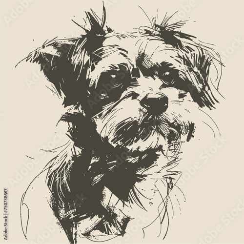 Black and white drawing of Yorkshire Terrier isolated on white background. Illustration of a Lap Dog. Cute puppy. Hand drawn illustration vector