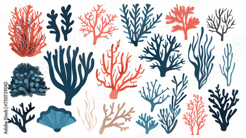 Tropical coral. Hand drawn vector for travel design. #750739042