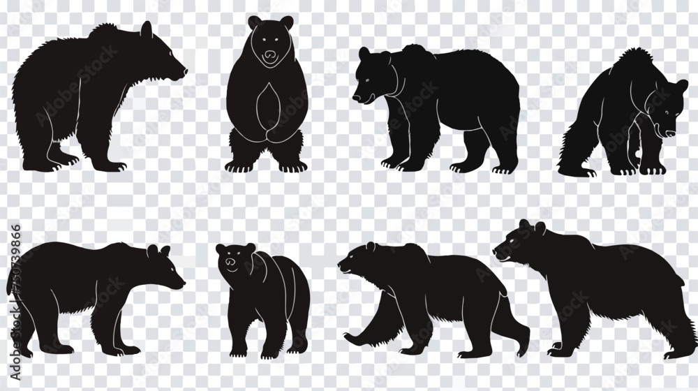 Various bear silhouettes icons isolated on the transp