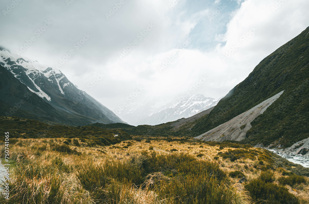 Fototapeta premium Mountains landscape with lush meadows, snow-capped peak and cloudy sky at Mount Cook, New Zealand