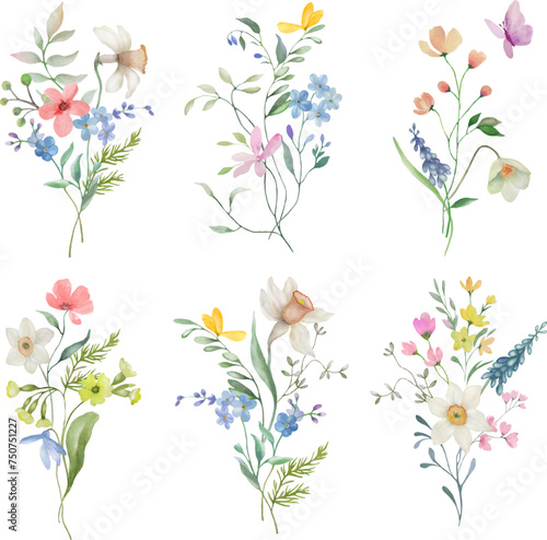 Watercolor floral set. Hand drawn illustration isolated on transparent background. Vector EPS.