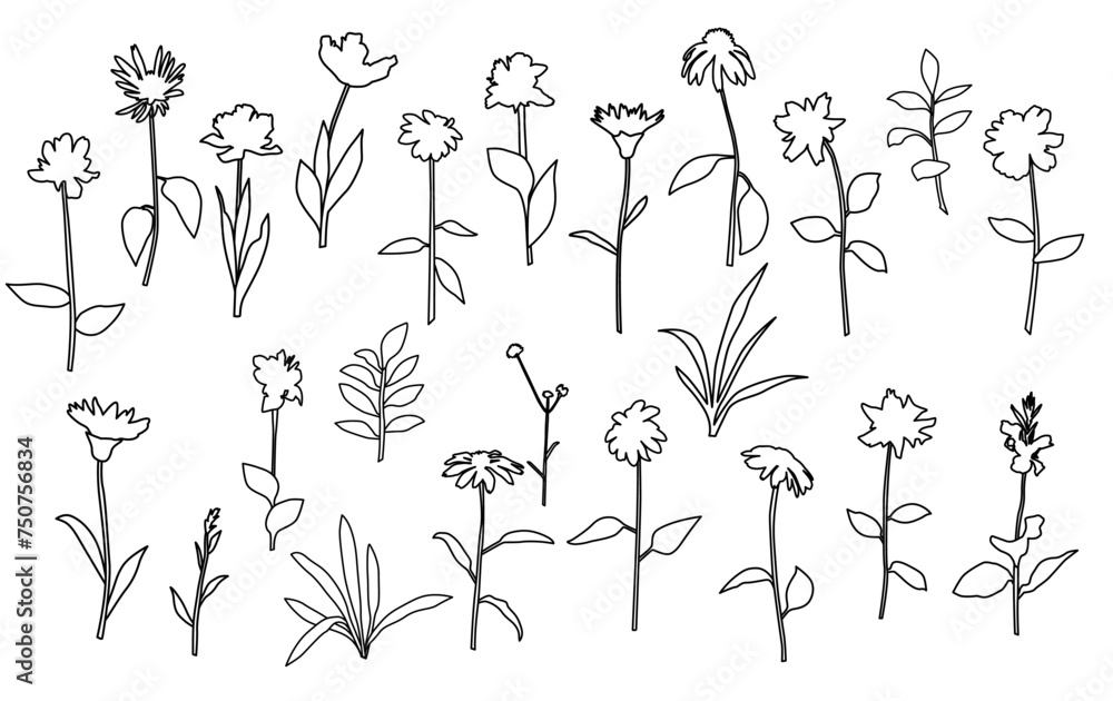 Vector silhouettes of garden and field spring flowers with leaves, flowering plants, twigs, floral designe, linear sketch, hand drawing, black color, isolated on a white background