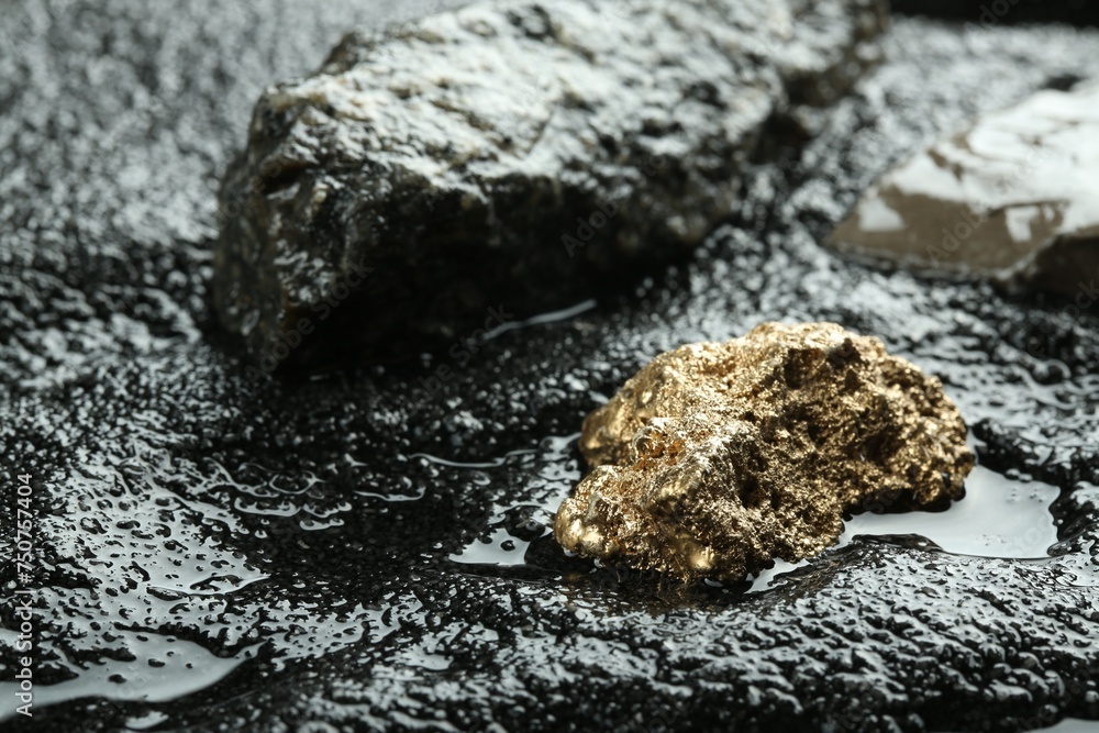 Shiny gold nugget on wet stones. Space for text Shiny gold nugget on wet stones. Space for text
