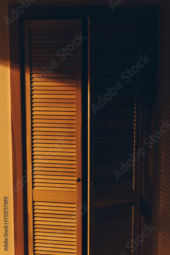 Mysterious shady wardrobe door illuminated by warm yellow lamp light. A concept of family secrets, crimes, truth, home invasion, and safety.