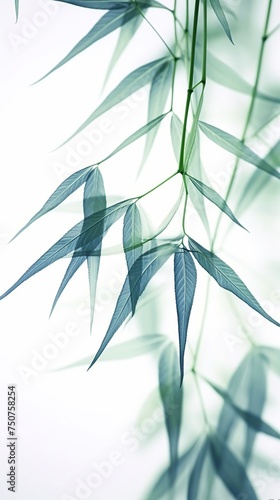 Abstract white green bamboo leaves on soft background © Sanuar_husen