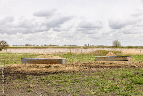 Two feeding troughs filled with hay stand in a field on the island Goeree-Overflakkee in southwest of The Netherlands.