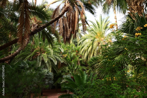 The Majorelle Garden  is a one-hectare botanical garden and artist s landscape garden in Marrakech  Morocco.