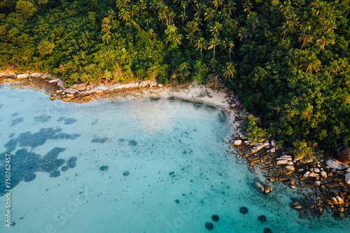The image shows an aerial view of a tropical island with a clear blue ocean and lush green trees. The island is surrounded by a white sand beach and coral reefs. There are several palm trees on the is