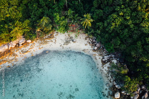 The image shows an aerial view of a tropical island with a clear blue ocean and lush green trees. The island is surrounded by a white sand beach and coral reefs. There are several palm trees on the is