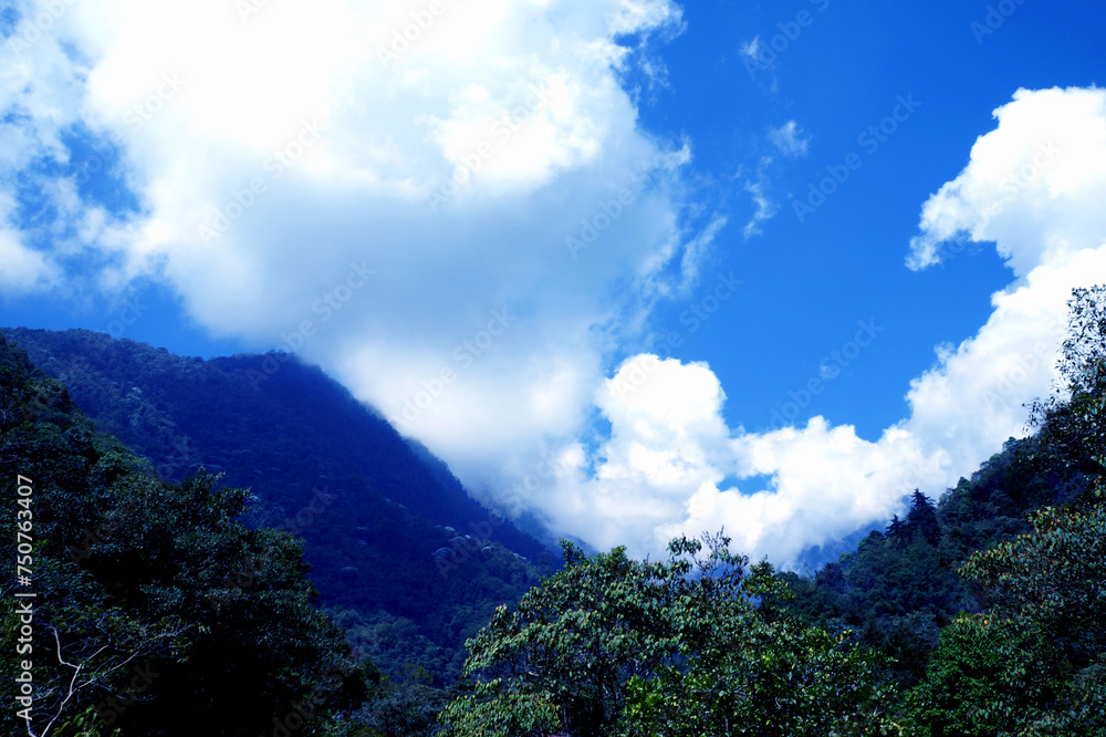 cielo cielo