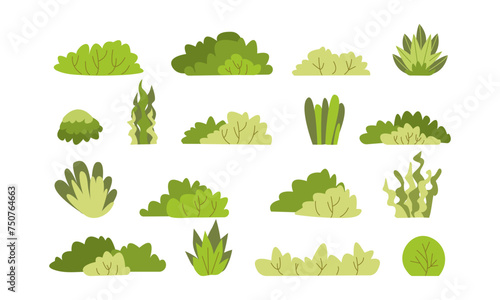 Shrub bush shrubbery tree simple abstract flat cartoon vector illustration. Set of garden green plant isolated on white background. Eco element  foliage silhouette  stylized ecology decorative object