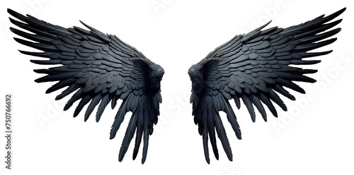 black wing isolated on white background. transparent background. PNG