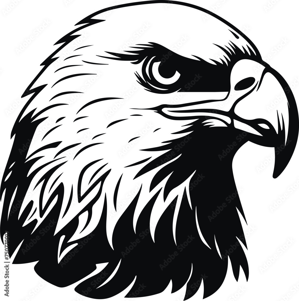 Obraz premium Eagle Head, eagle logo, American eagle, Vector Illustration on a white background