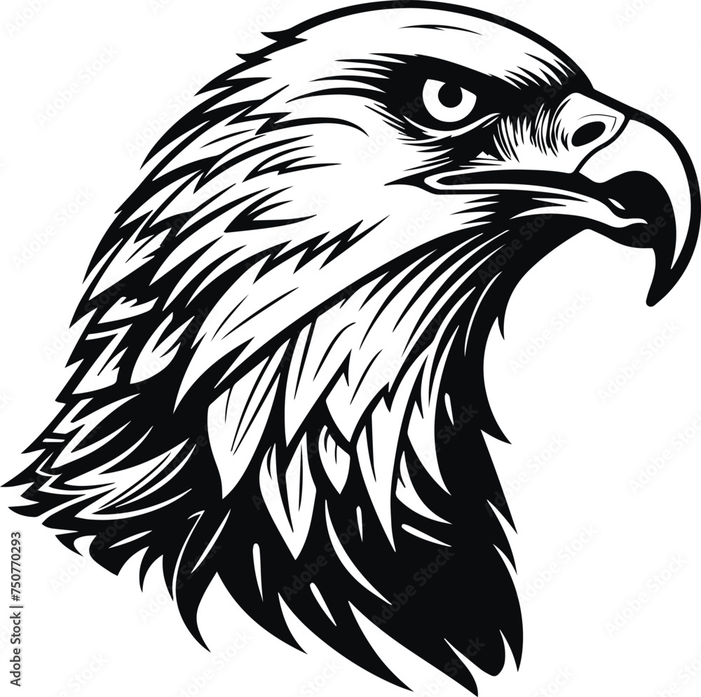 Fototapeta premium Eagle Head, eagle logo, American eagle, Vector Illustration on a white background