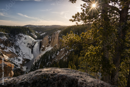 Sunstar through trees in the lower falls of the yellowstone national park
