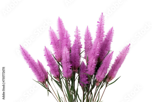 Purple Flowers in a Vase. A collection of vibrant purple flowers arranged neatly in a transparent vase, adding a pop of color to the room. Isolated on a Transparent Background PNG.