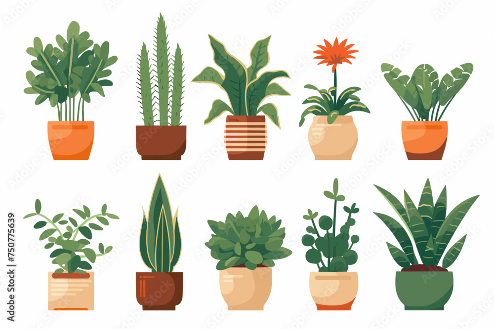 Collection of decorative houseplants and succulents isolated on white background. Trendy plants growing in pots or planters. Flat colorful vector illustration. Collection of decorative houseplants and succulents isolated on white background. Trendy plants growing in pots or planters. Flat colorful vector illustration.