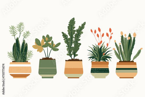 Collection of decorative houseplants and succulents isolated on white background. Trendy plants growing in pots or planters. Flat colorful vector illustration.