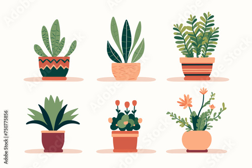 Collection of decorative houseplants and succulents isolated on white background. Trendy plants growing in pots or planters. Flat colorful vector illustration.