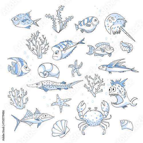 Fish set, sealife, hand-drawn