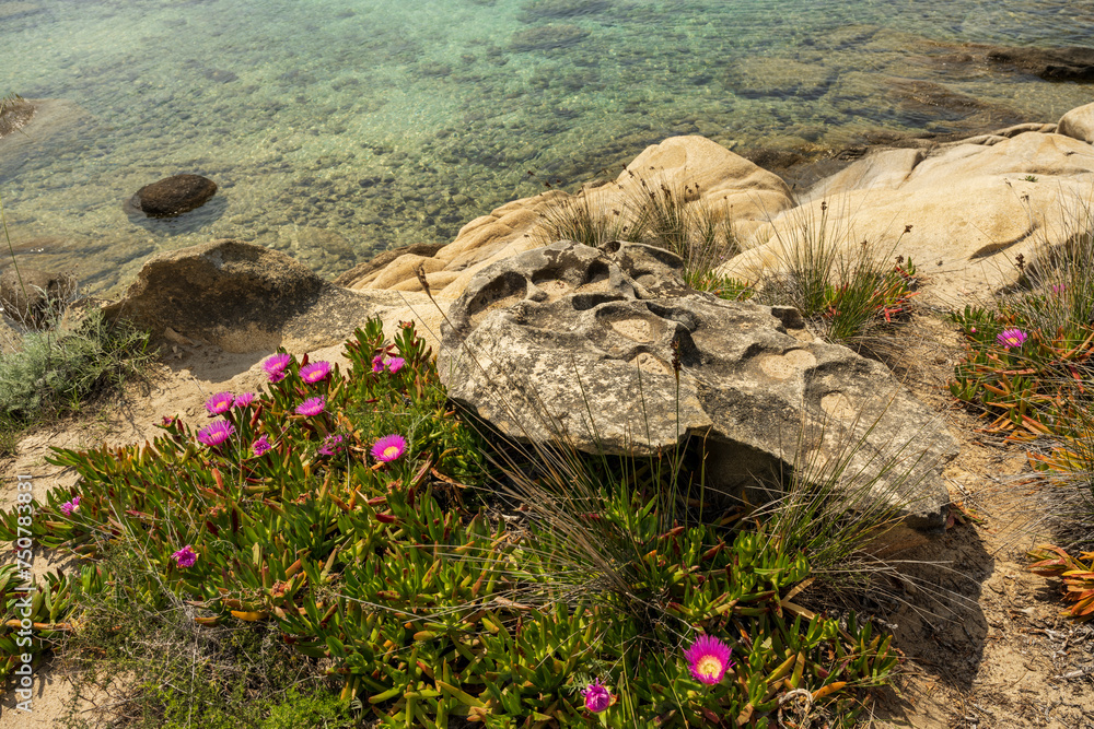 Panoramic view of Karidi beach. Vourvourou, Sithonia, Greece, Halkidiki. Wild beautiful beach with turquoise water. Panoramic view of Karidi beach. Vourvourou, Sithonia, Greece, Halkidiki. Wild beautiful beach with turquoise water.