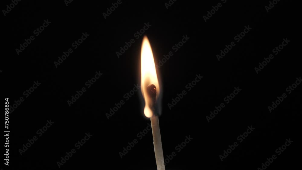 A burning match on a black background A burning match on a black background