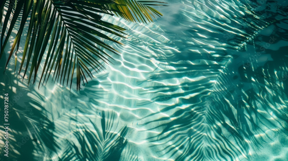 The shadow of palm leaves is cast on the waters surface, creating a beautiful pattern. top view, mockup, copy space The shadow of palm leaves is cast on the waters surface, creating a beautiful pattern. top view, mockup, copy space