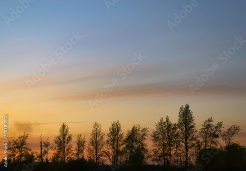 Silhouettes of a row of trees backdrop of a magnificent and beautiful sky during sunset