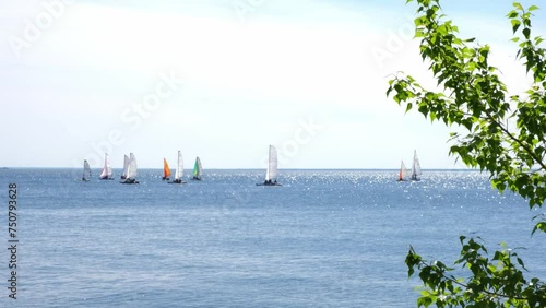 Sailing. Catamarans with colorful sails in open sea. Sports competitions on high seas. Regatta. Moving in wind on a sailing boat. Boat trip on yacht. Recreation, leisure, cruise. photo