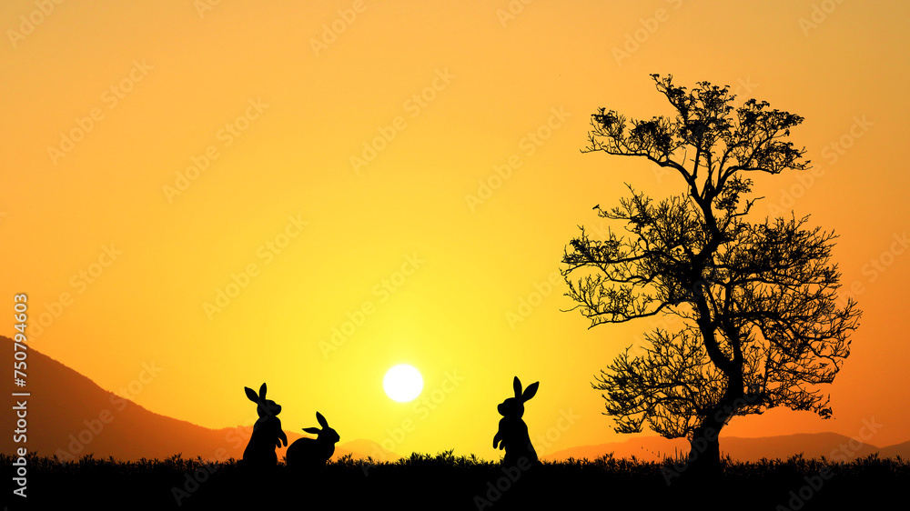 Silhouette of a rabbit in the meadow