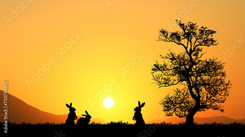 Silhouette of a rabbit in the meadow