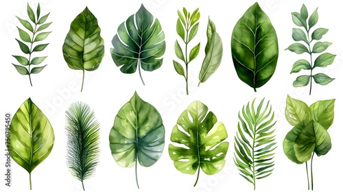Set of Watercolor Tropical spring green leaves